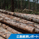 中国木材 苗木生産会社を子会社化 活用・育林で循環型林業目指す